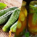 Jak zamknąć ogórki w ketchupie chili na zimę: 3 niezrównane przepisy Jak zamknąć ogórki w ketchupie chili na zimę: 3 niezrównane